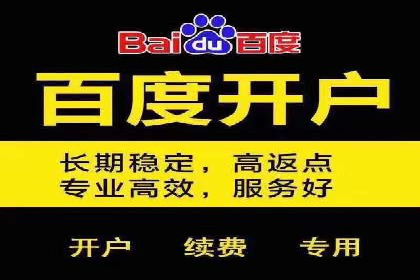 某电商平台信息流广告运营实战案例